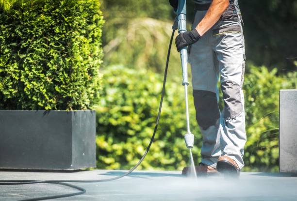 Best Dumpster Area Cleaning  in South Pekin, IL