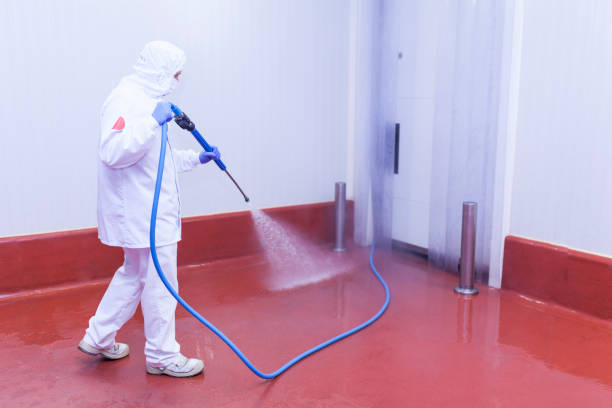 Trusted South Pekin, IL  Pressure Washing Services Experts