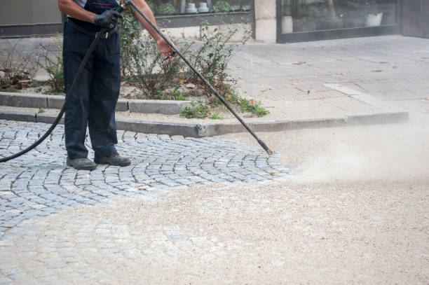 Best Winterizing Services  in South Pekin, IL