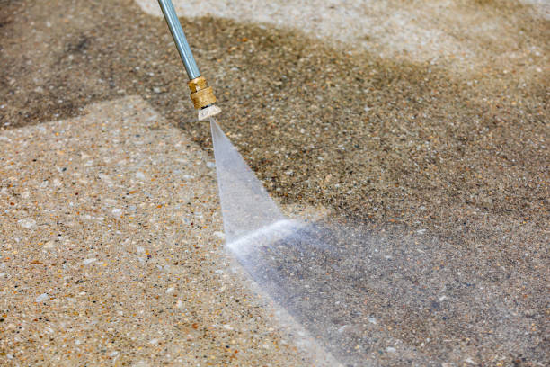 Animal Enclosure Cleaning in South Pekin, IL